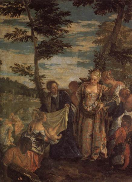 VERONESE (Paolo Caliari) Moses Saved from the Waters of the Nile Germany oil painting art